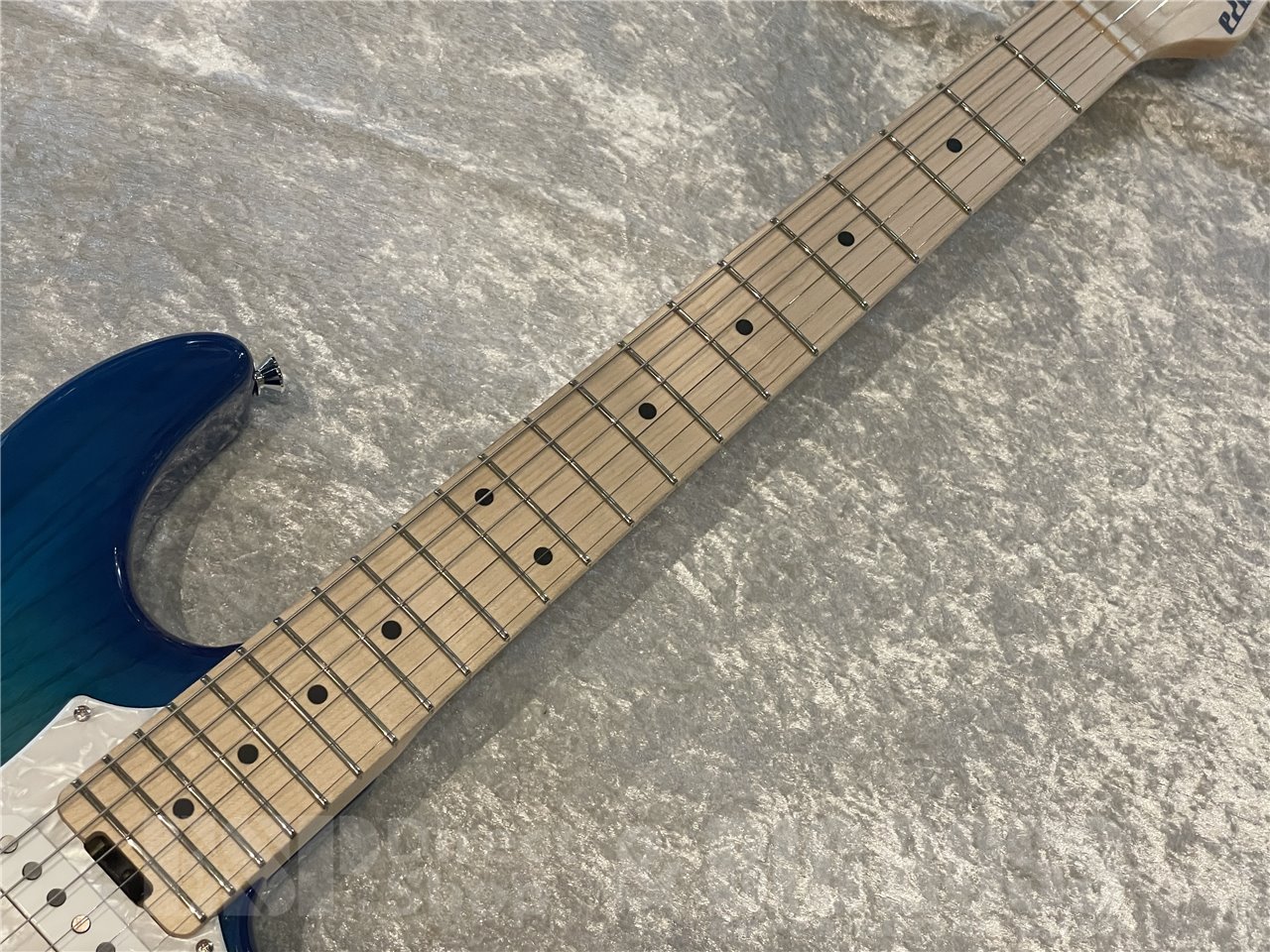 EDWARDS E-SNAPPER-AS/M (See Thru Blue Sunburst)（新品/送料無料