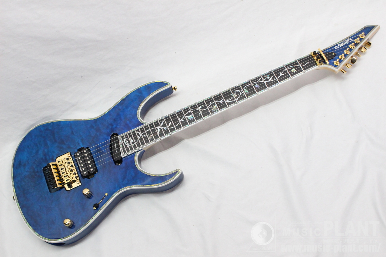 EDWARDS E-CY-CTM DNBL（新品/送料無料）【楽器検索デジマート】