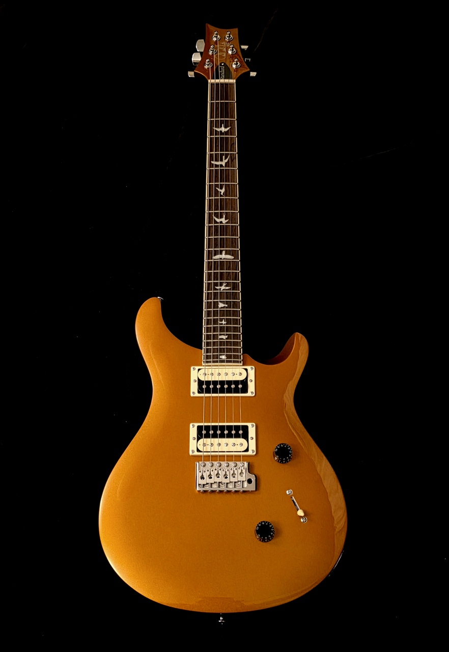 Paul Reed Smith(PRS) SE STANDARD 24（中古）【楽器検索デジマート】