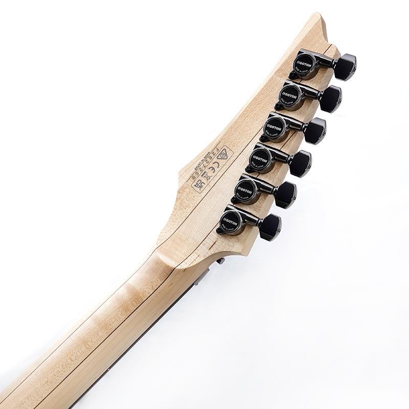 Ibanez KIKO100-TRR [KIKO LOUREIRO signature model] SN.F2627259