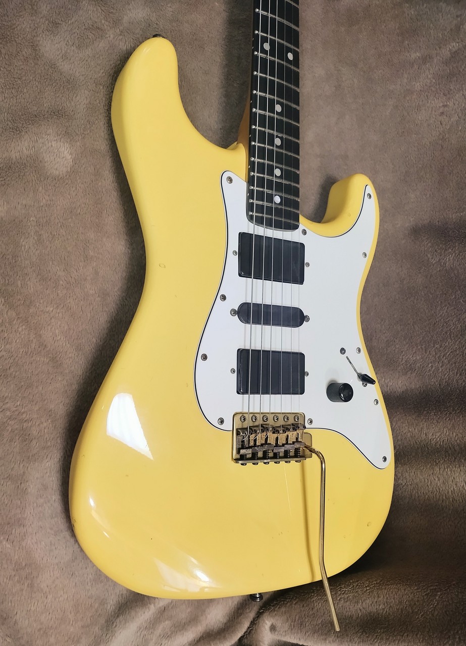 ESP Stratocaster Type