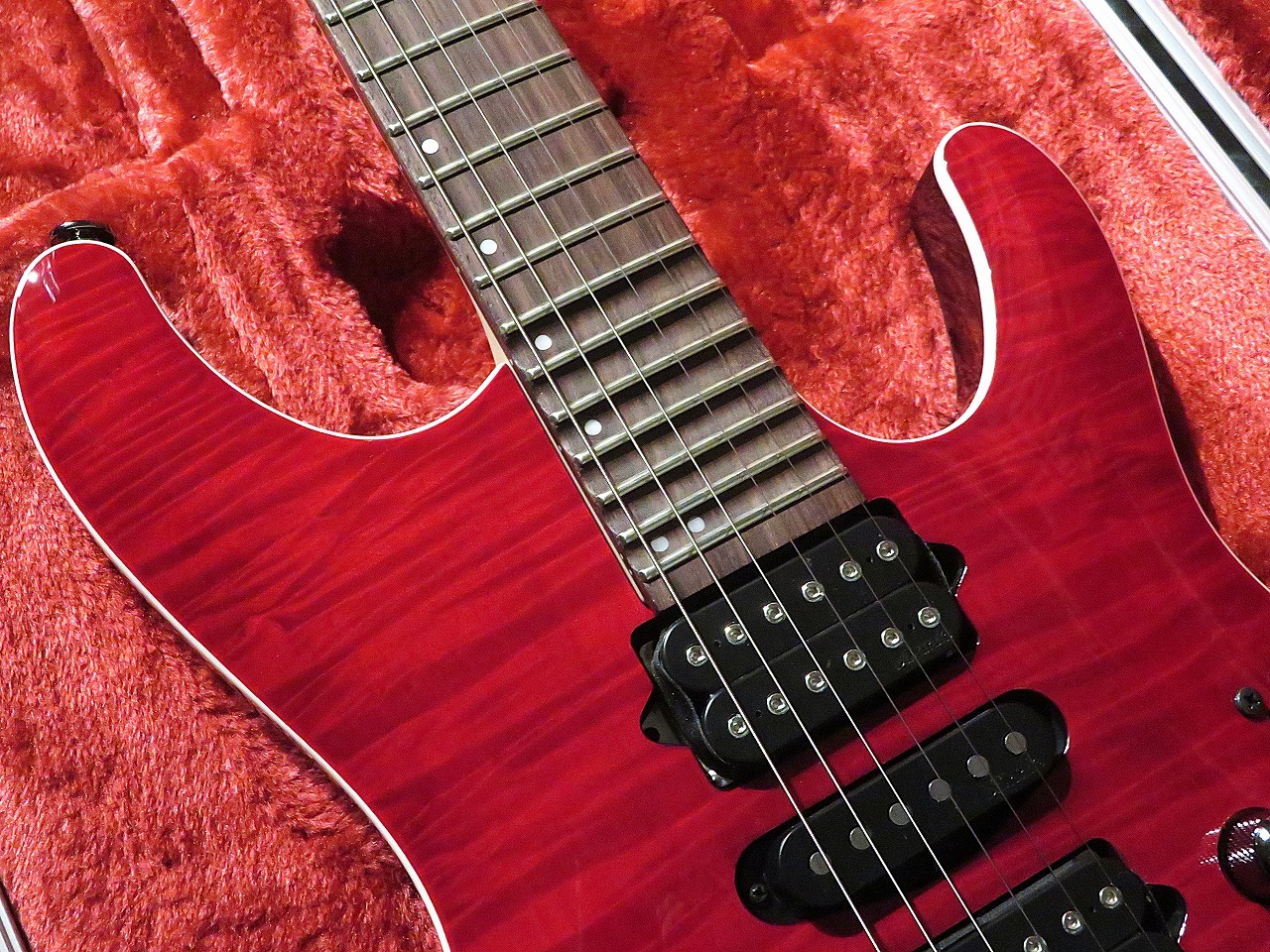 kiko様 Ibanez 【超杢!激カッコイイ個体!】KIKO100 -TRR- #F2516766