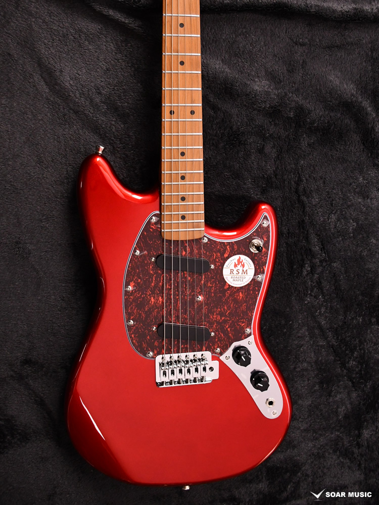 Bacchus バッカス BMS-1-RSM/M-TTPG CAR べっ甲柄ピックガード