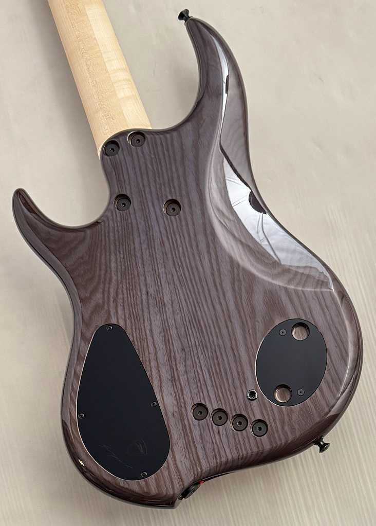DINGWALL 【48回無金利】Z3 5st -Macassar Ebony Top-【NEW