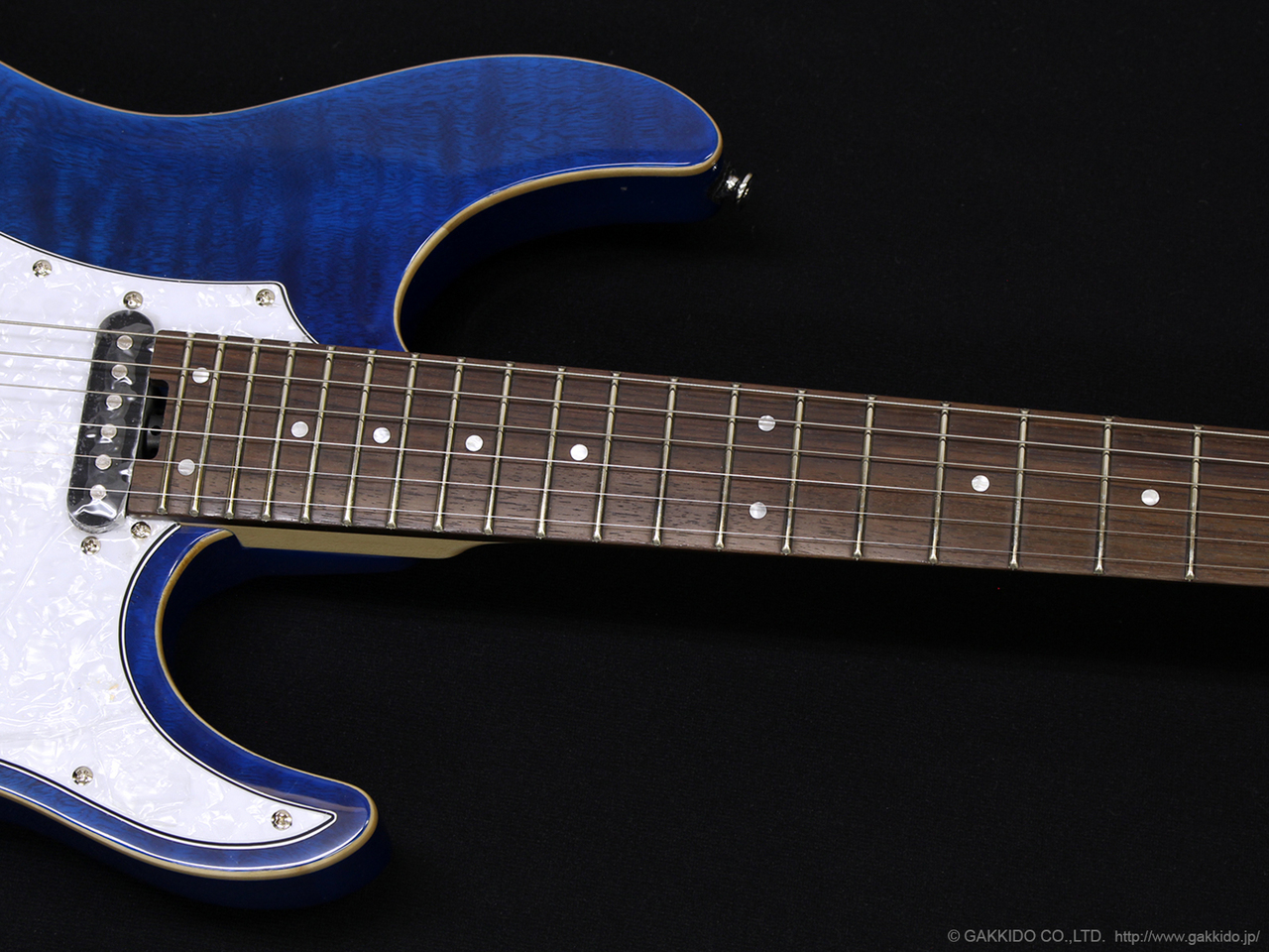 grassroots g-snapper-CTM シースルーブルー(エレキギター G-SNAPPER-CTM | ESP GUITARS