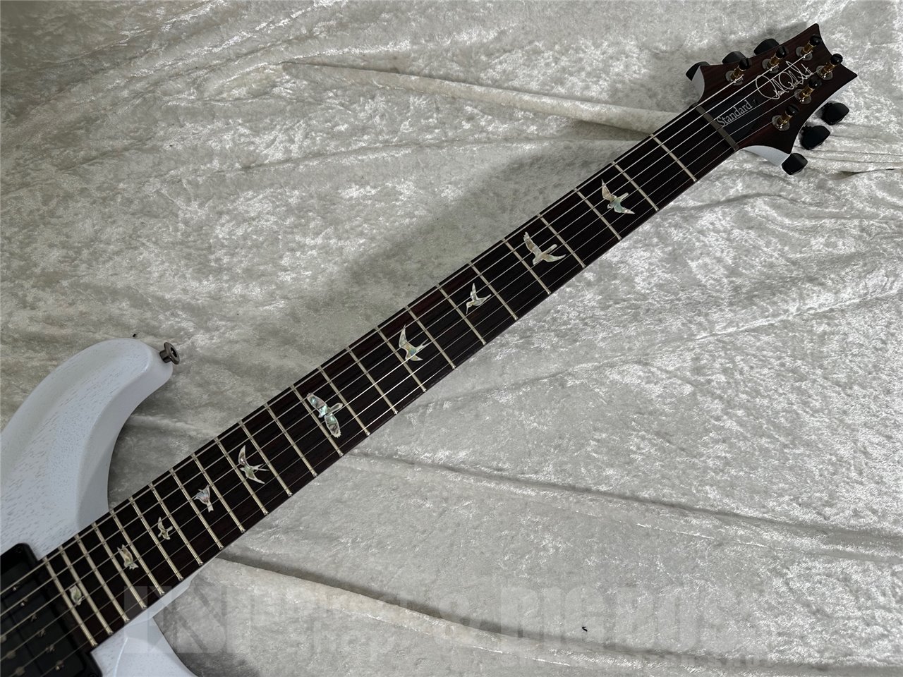 Paul Reed Smith(PRS) STANDARD 24 Satin(Pearl White) 2025年製（新品