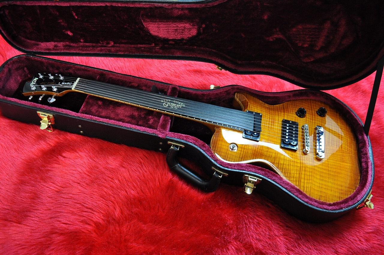 FUJIGEN(FGN) Expert FLAME EFL-FM Vintage Violin（中古）【楽器検索