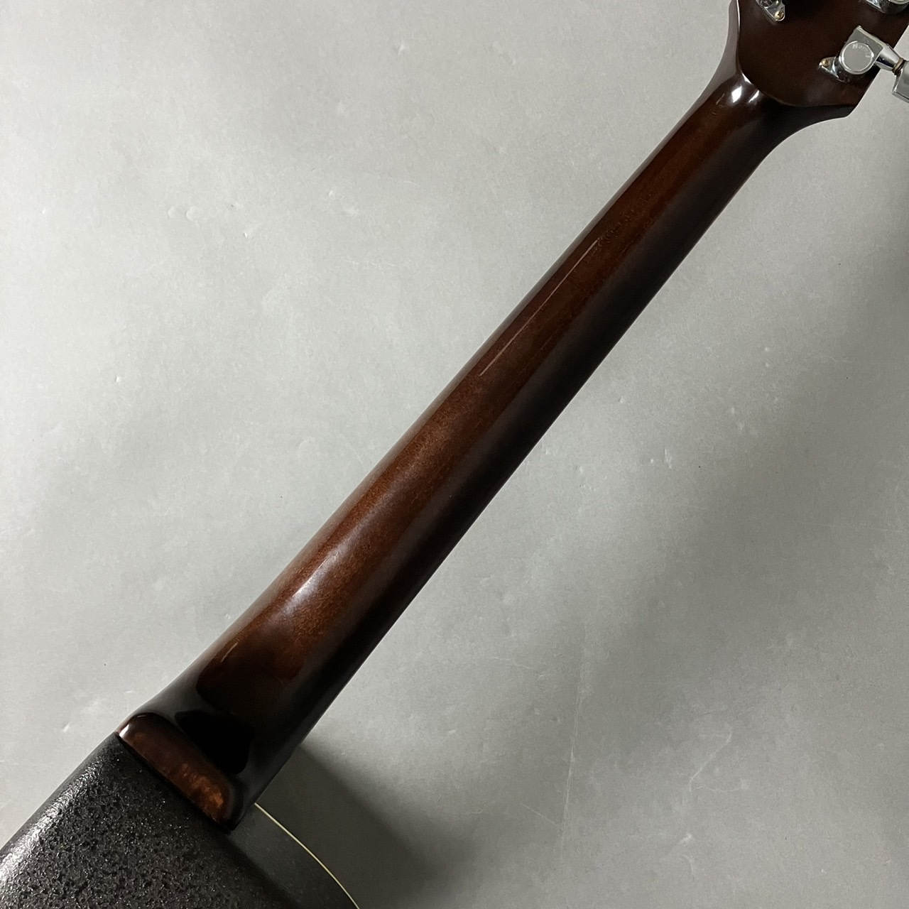 Morris Tornado Z 初期型 【USED】（中古）【楽器検索デジマート】