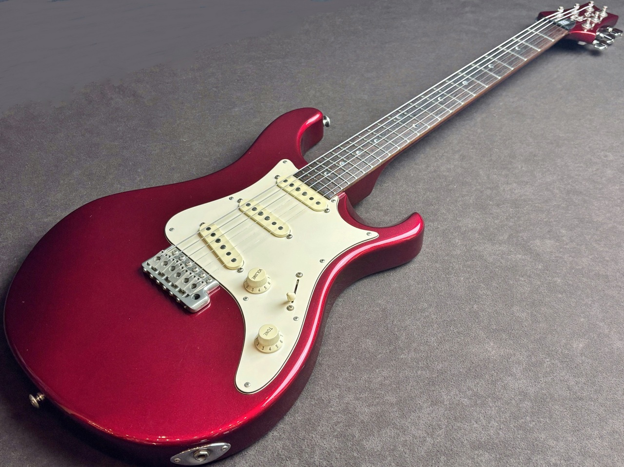 Paul Reed Smith(PRS) SE EG 사진 2