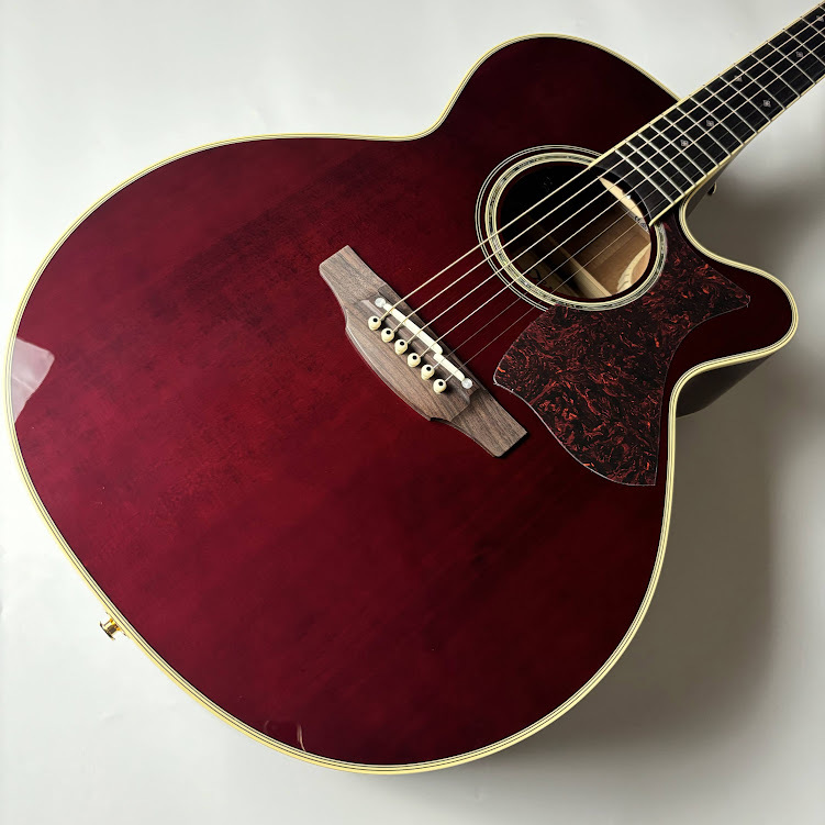 Takamine [※お取り寄せ商品] DMP551C WR タカミネ エレアコ