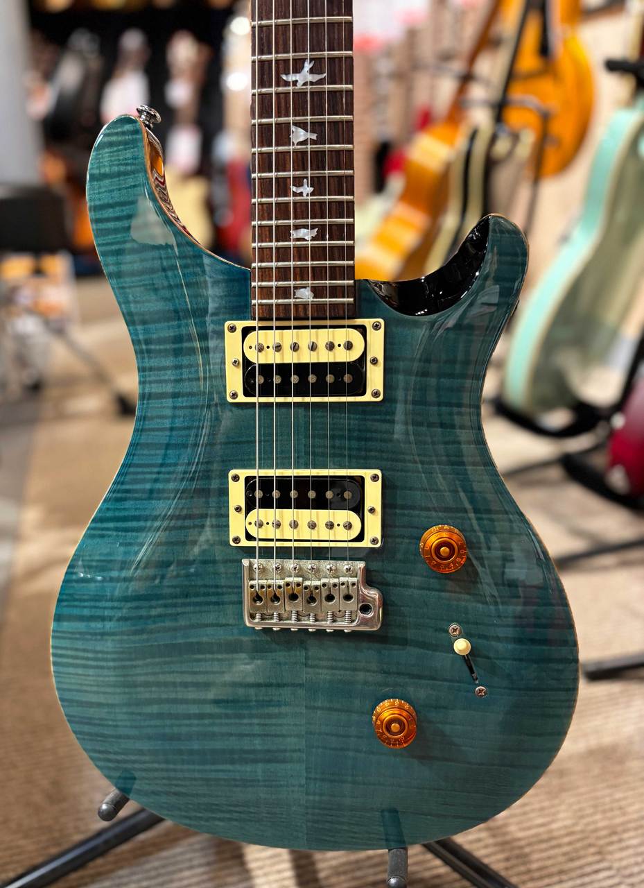 Paul Reed Smith(PRS) SE CUSTOM 24（中古/送料無料）【楽器検索