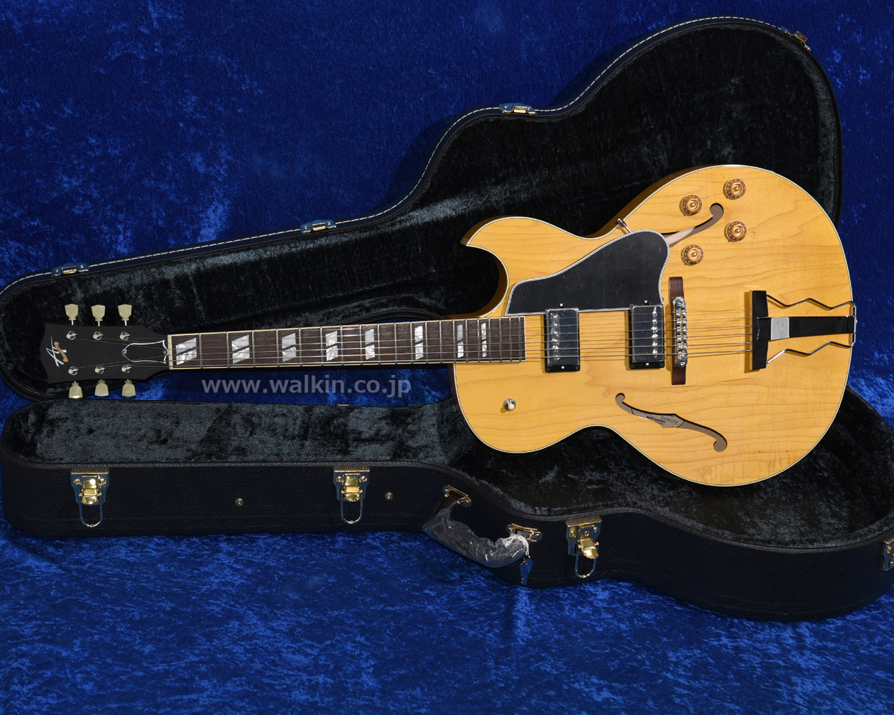 Archtop Tribute AT205MD（新品）【楽器検索デジマート】