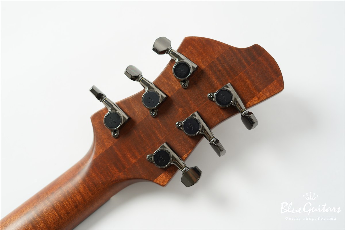 Collectera Faro Sole - Antique Brown（新品/送料無料）【楽器検索