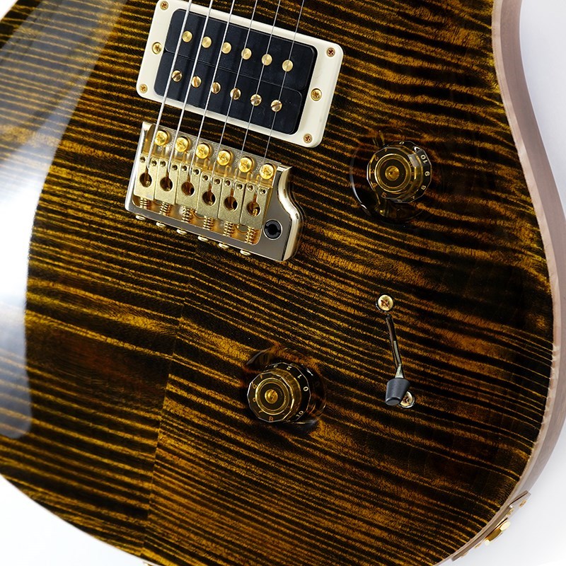 Paul Reed Smith(PRS) Ikebe Original Wood Library Custom24 McCarty