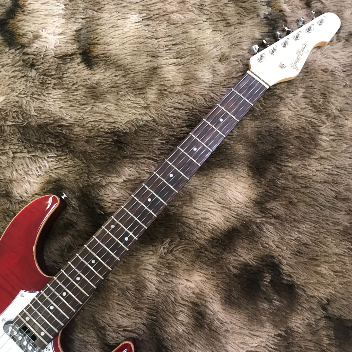 GrassRoots G-SNAPPER-CTM See Thru Red（新品/送料無料）【楽器検索