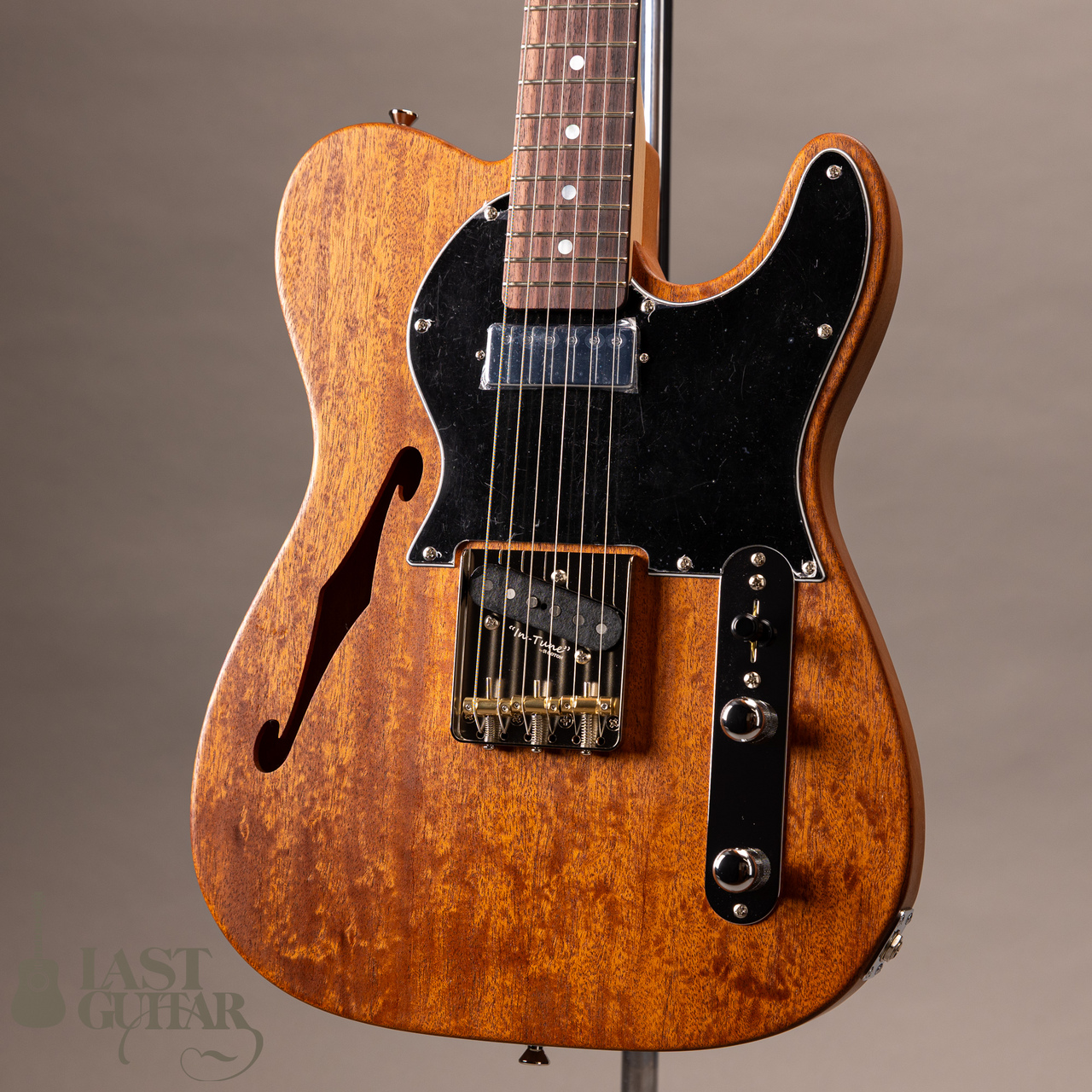 Provision VTE-TL-MH-OIL（新品）【楽器検索デジマート】