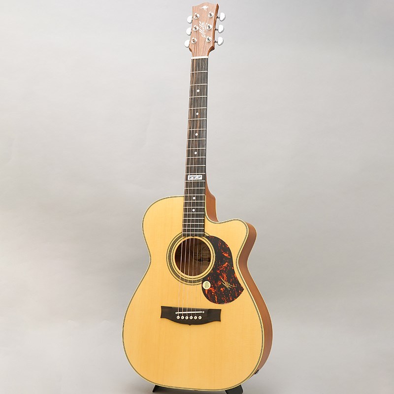 Maton EBG808C TE アコギ美品（ハードケース付き） MATON EBG808C TE - Tommy Emmanuel - メイトン（新品）【楽器