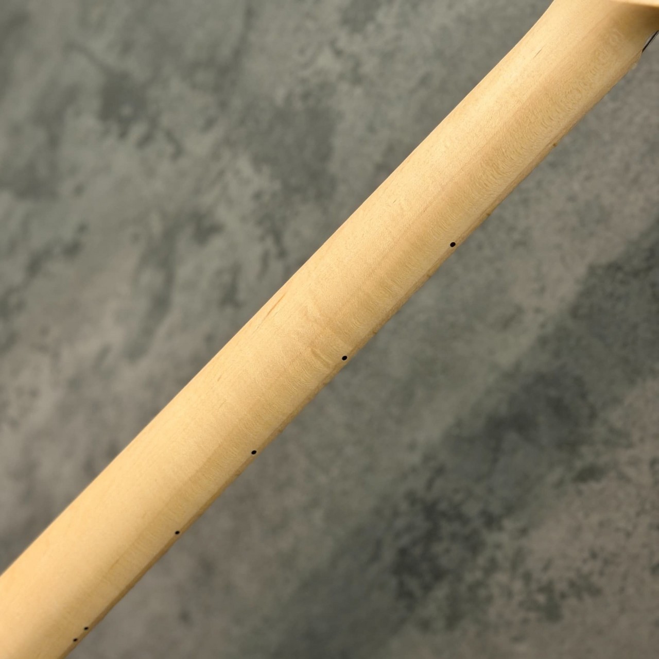 FUJIGEN(FGN) JIL2-ASH-DE-M ~Open Pore Black~ #D260104【3.43kg