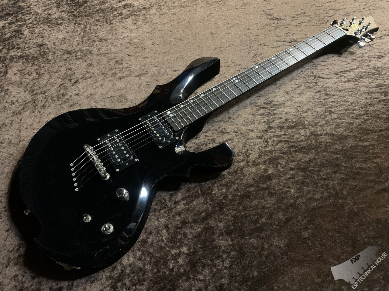 ESP ORDER GUITAR