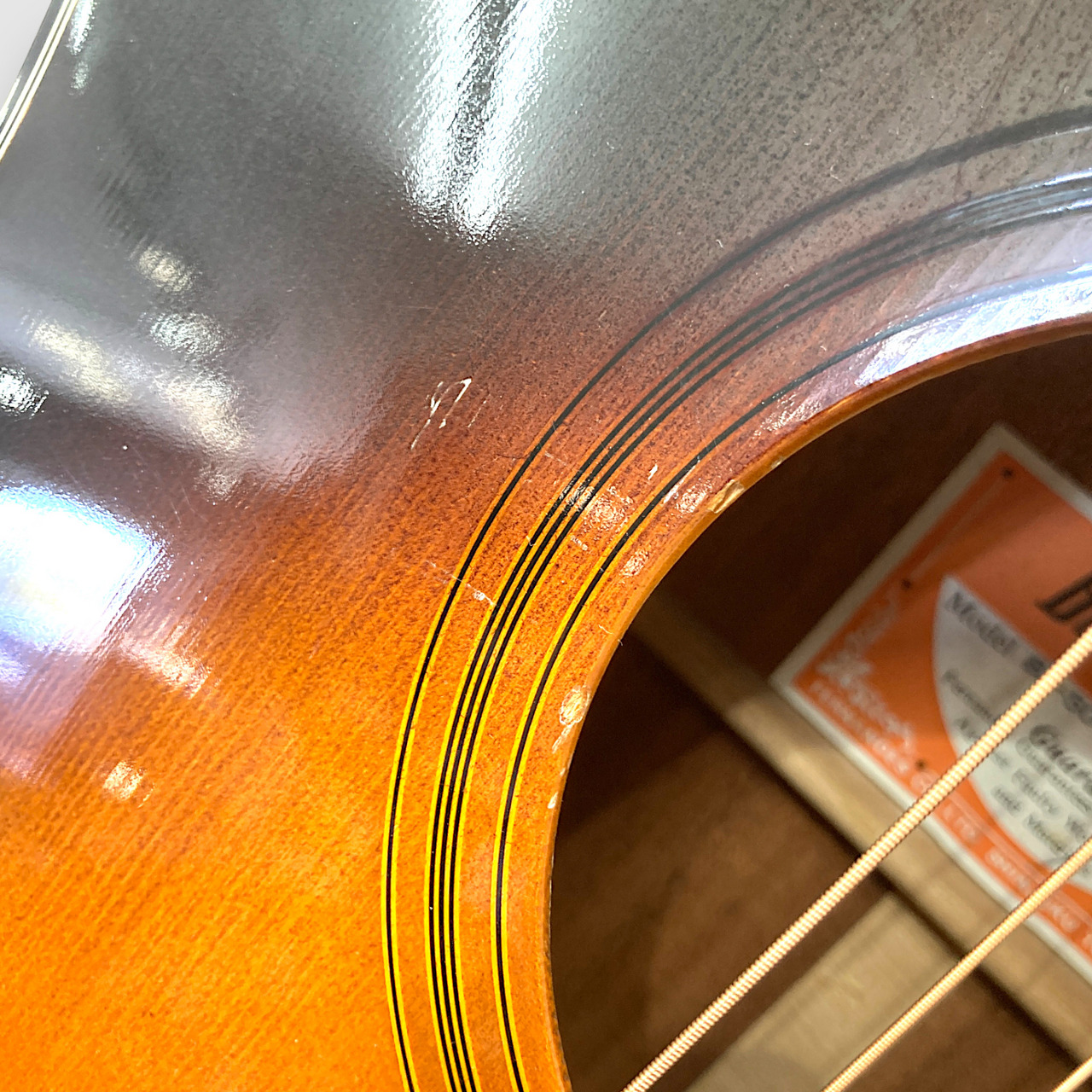 Burny BJ-50 百瀬恭夫 アコースティックギター（中古）【楽器検索