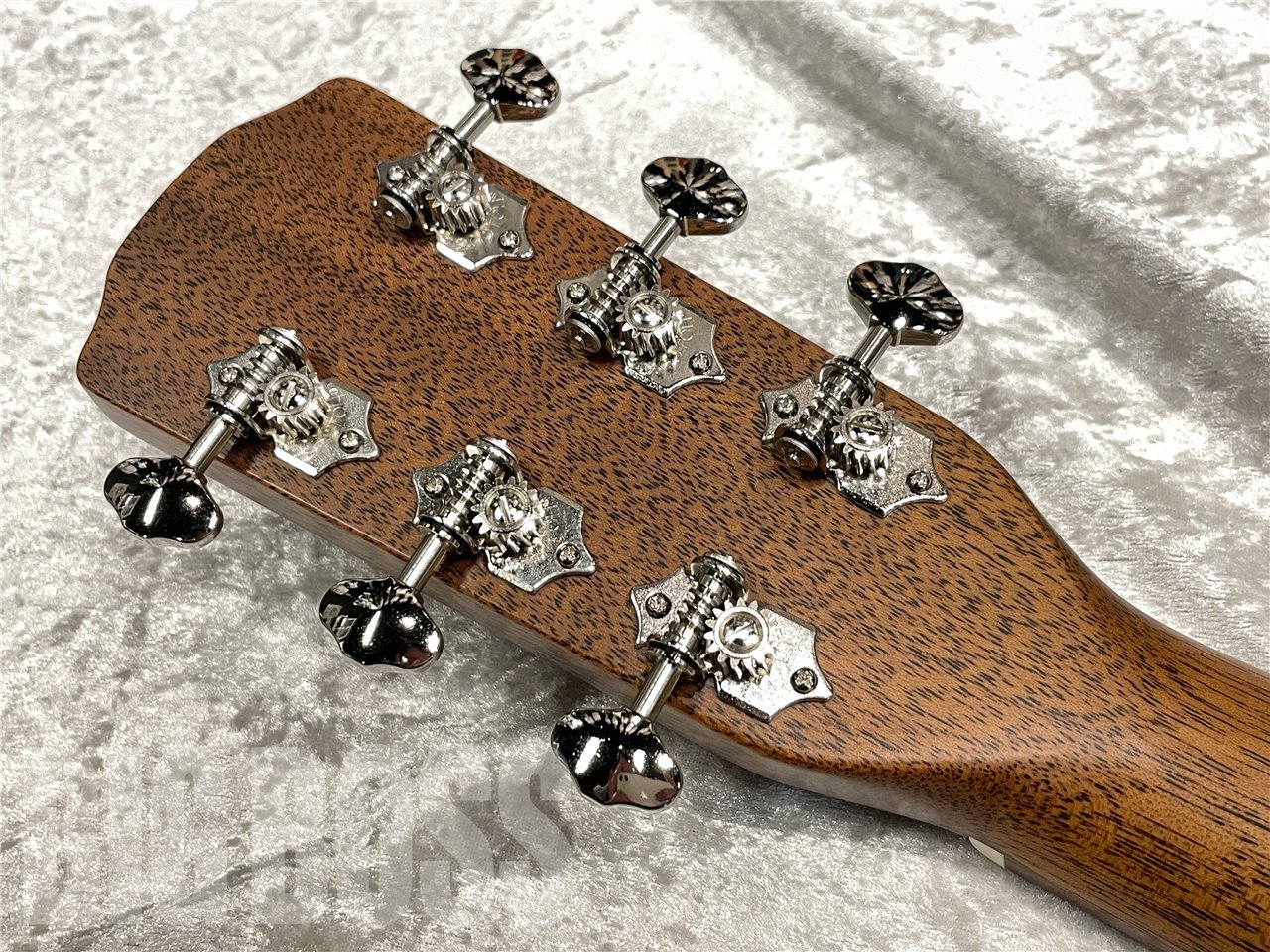 Morris FLB-81【Natural】（新品/送料無料）【楽器検索デジマート】