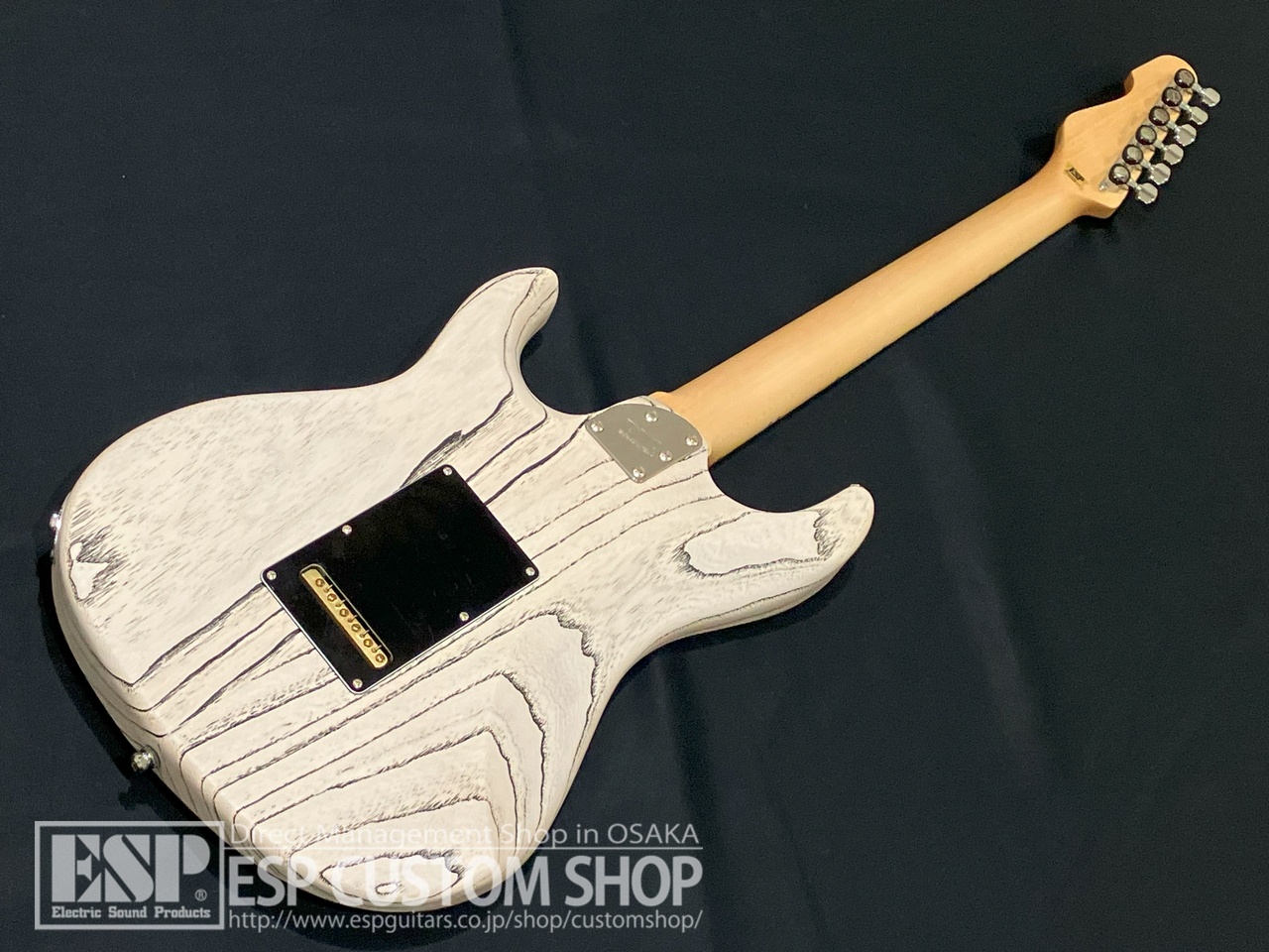 ESP SNAPPER-AS/M Drift Wood White w/Black Filler（新品/送料無料