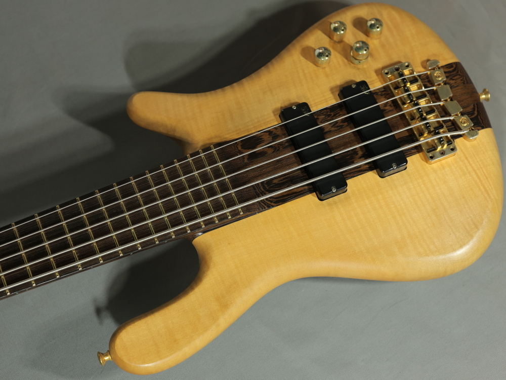 Warwick Streamer Stage I 5ST【2013年製】【USED】（中古