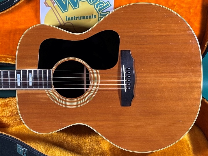 MOUNTAIN W-450（ビンテージ）【楽器検索デジマート】