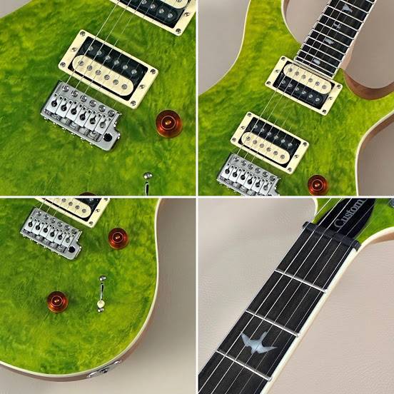 Paul Reed Smith(PRS) SE Custom24 Quilt / Eriza Verde 【S/N F035573