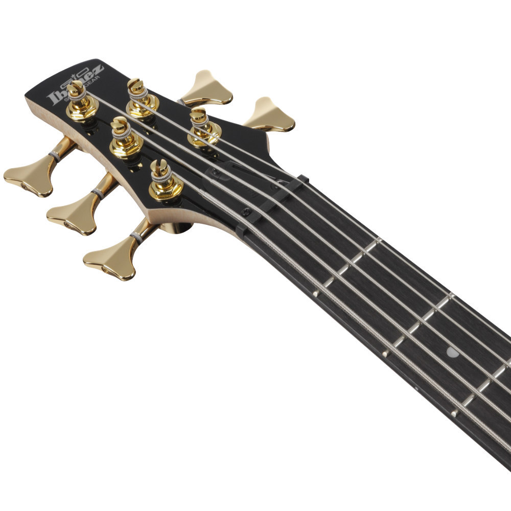 Ibanez アイバニーズ GSR205PC-TPB Gio Transparent Pale Black Burst
