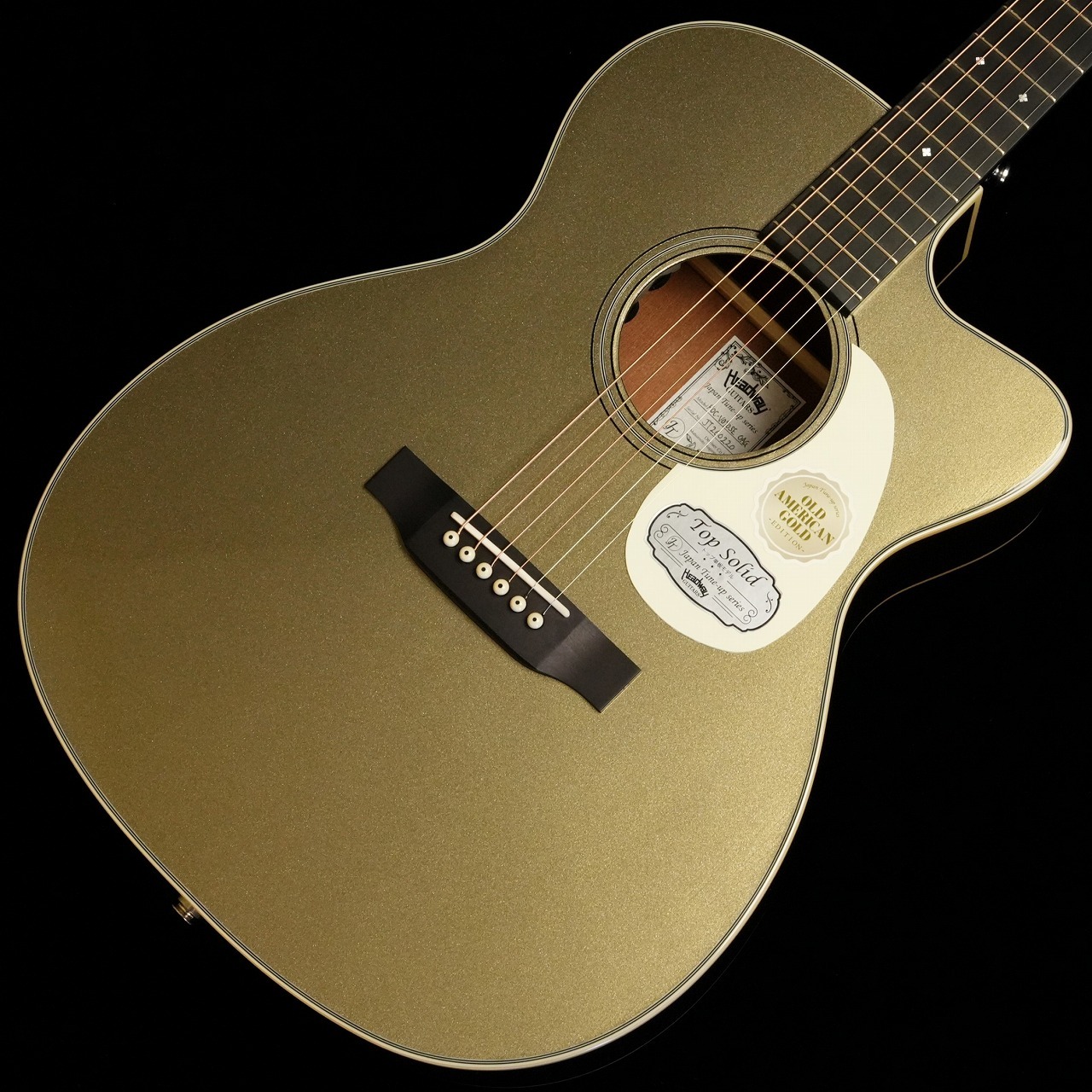 ギター Headway HD-590AS Japan Tune-up Series HD-590AS | Deviser