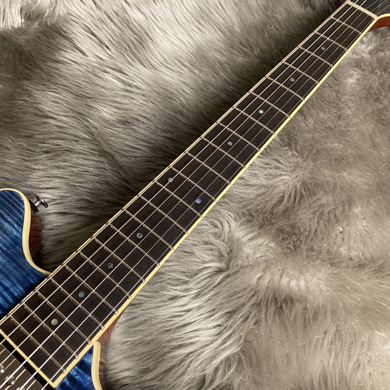 T's Guitars Arc-STD22/VS100 -Arctic Blue【最大36回分割無金利