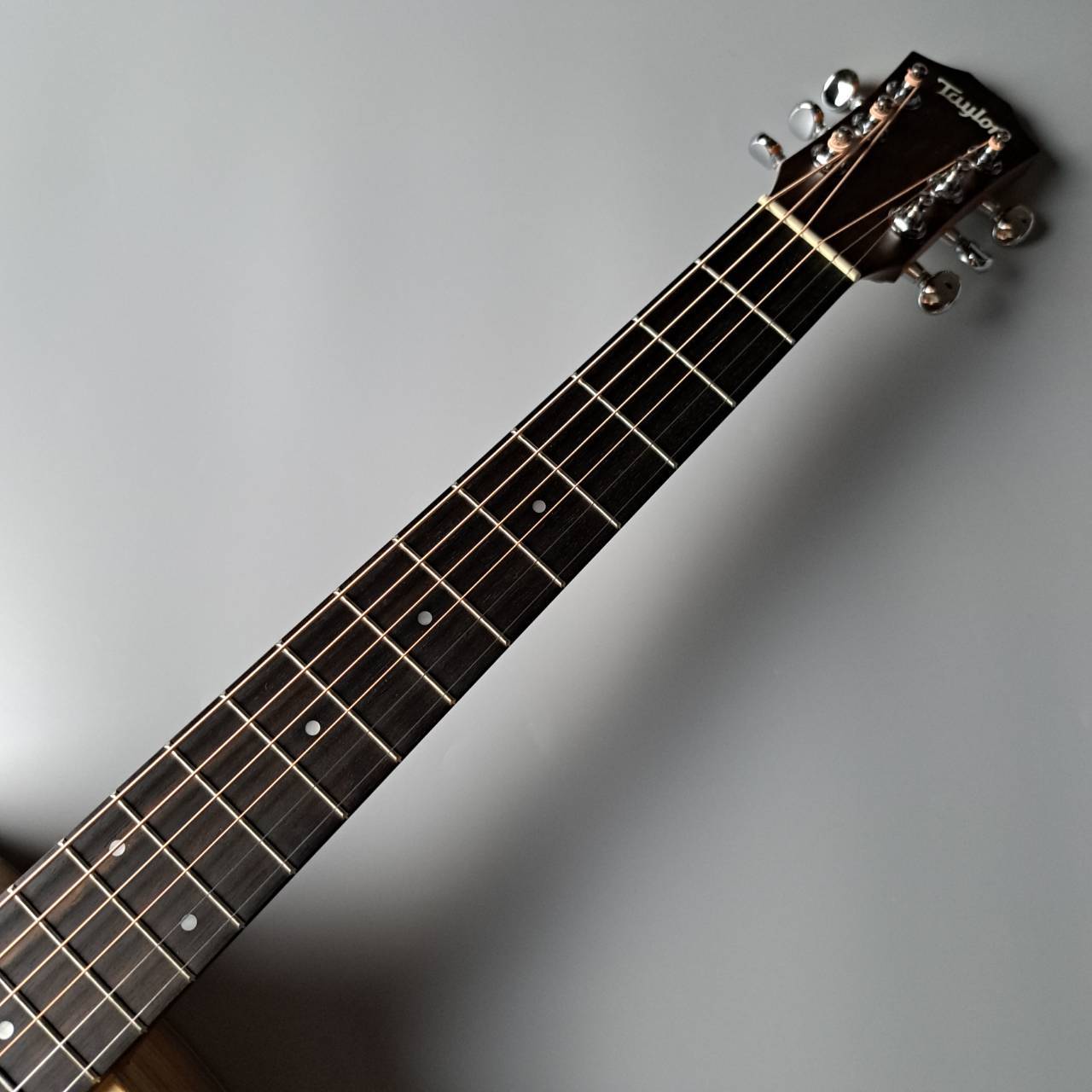 Taylor Baby Taylor NAT ミニギター アコースティックギターBT-1（新品