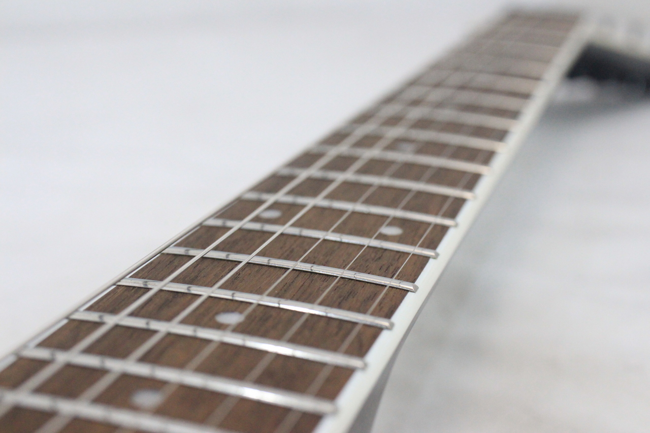 FERNANDES TEJ-STD 2S（中古）【楽器検索デジマート】