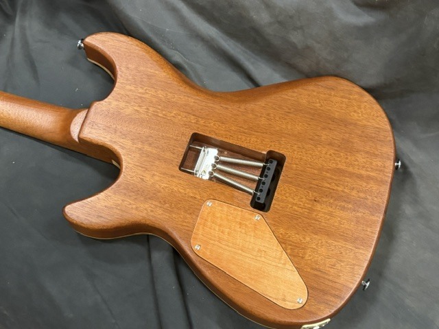 Kigoshi Custom Guitar KTM-Pro/F HSH （新品/送料無料）【楽器検索