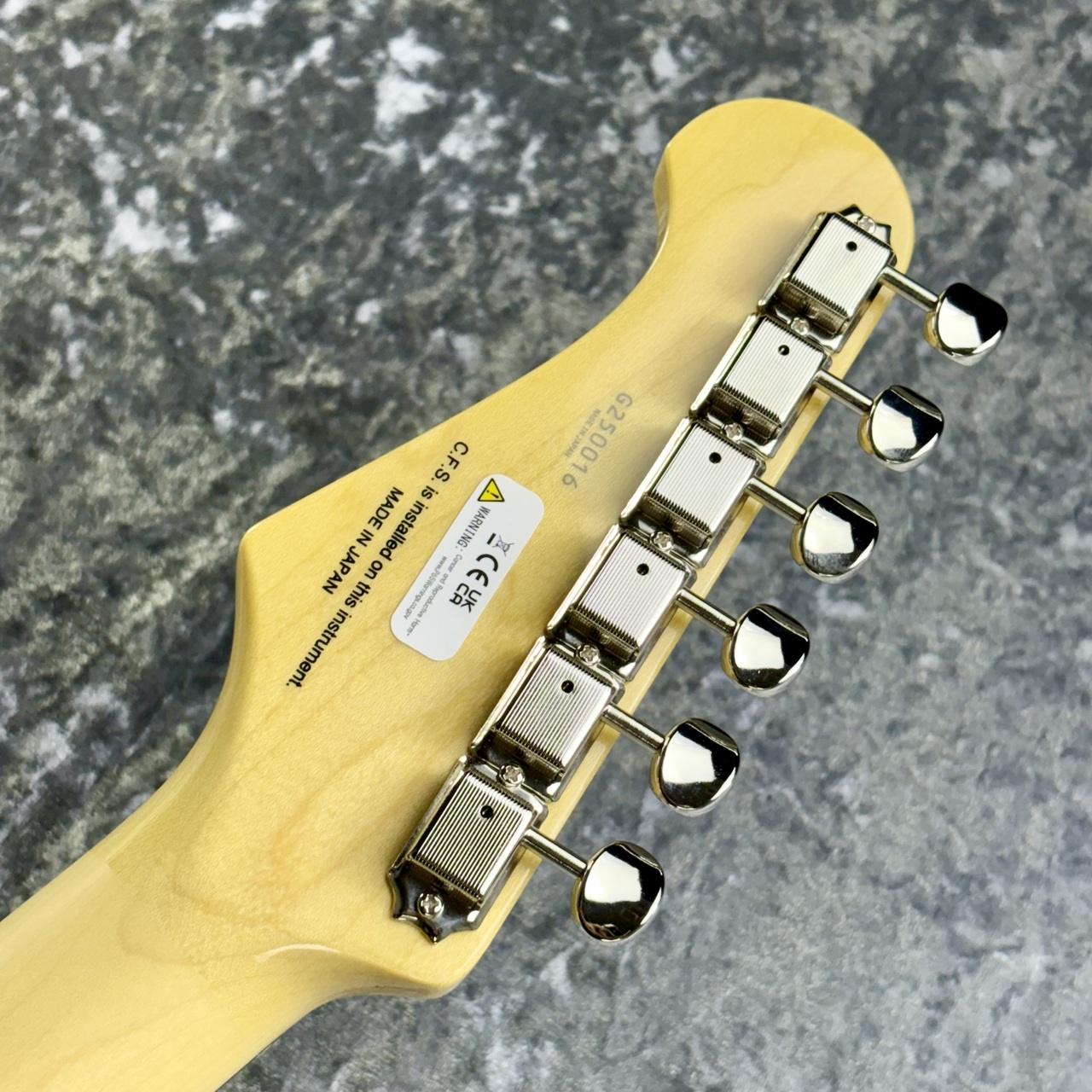 FUJIGEN(FGN) NTE100RAL-CAG ~Candy Apple Green~ #C250053 [3.79kg