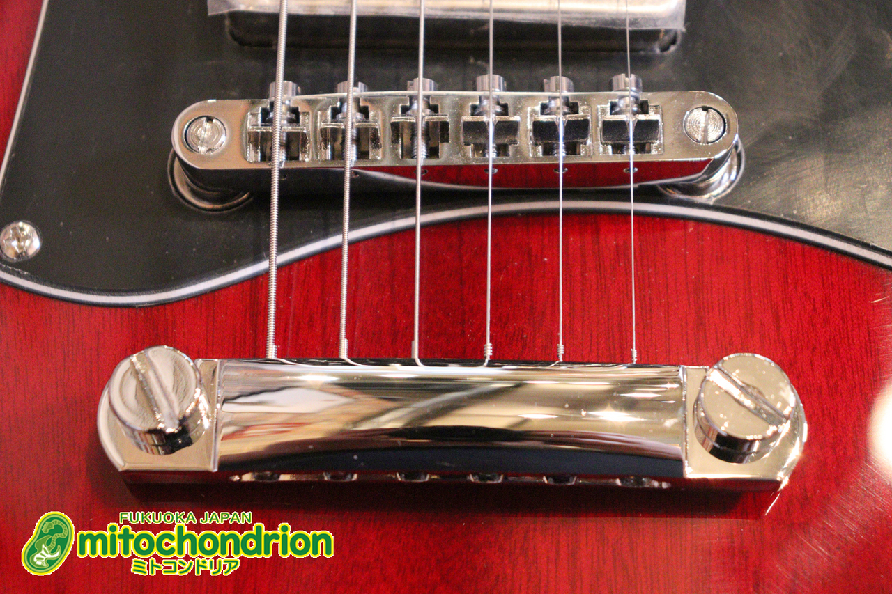 GrassRoots G-SG-STD / Cherry（新品）【楽器検索デジマート】