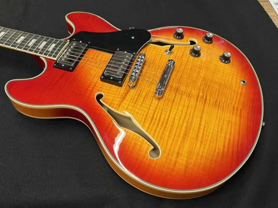 Sire Larry Carlton H7 CS (Cherry Sunburst)（新品/送料無料）【楽器