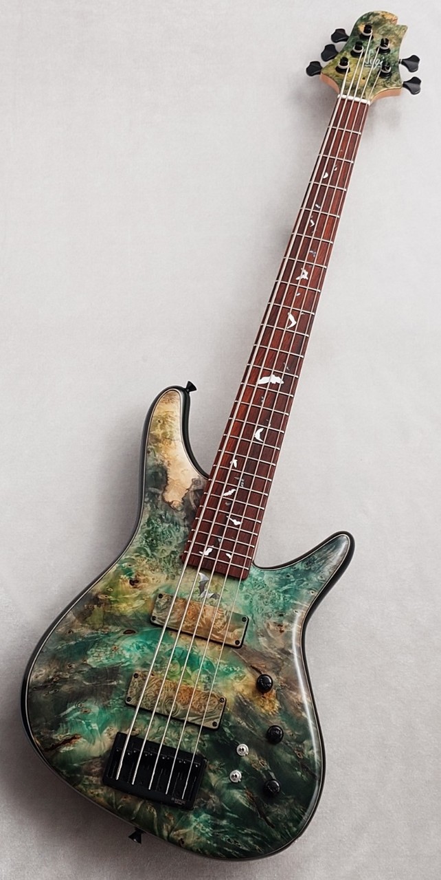 Sugi 【48回無金利】NB5C 2HH 432 BUE/ALD/Deep Forest Green【激杢