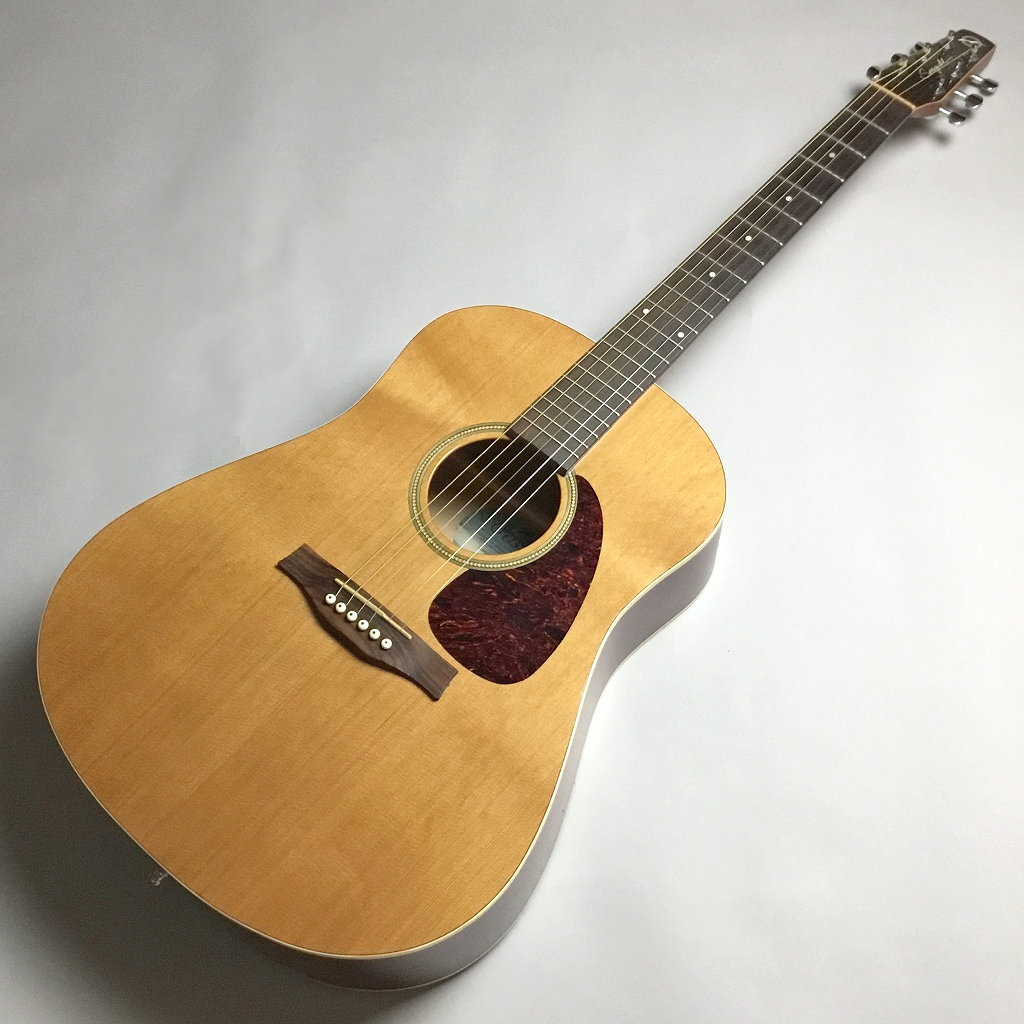 アコギ　ギター　シーガル　Coastline S6 Cedar GT