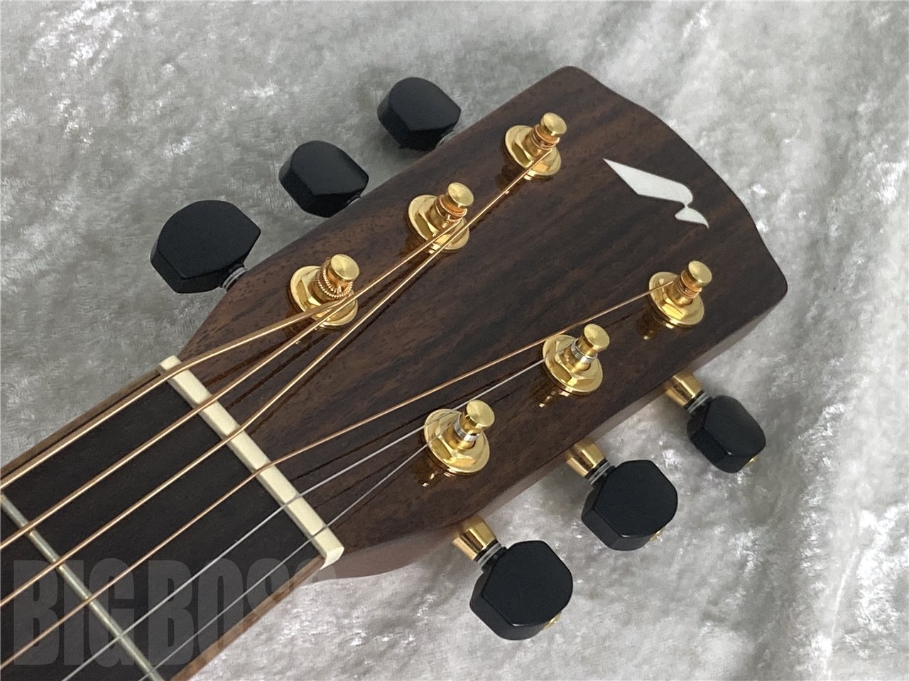 Morris SC-71 NAT （新品/送料無料）【楽器検索デジマート】