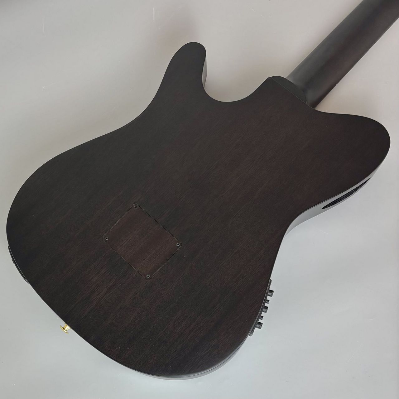 Ibanez FRH20FMN エレガットギター（新品/送料無料）【楽器検索