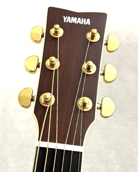 YAMAHA 【最初の1本ならまずはコレ!】LL16 ARE【オール単板