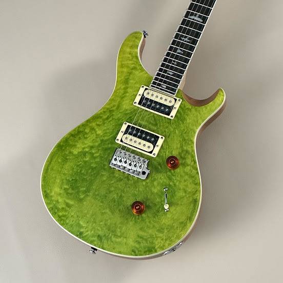 Paul Reed Smith(PRS) SE Custom24 Quilt / Eriza Verde 【S/N F035573