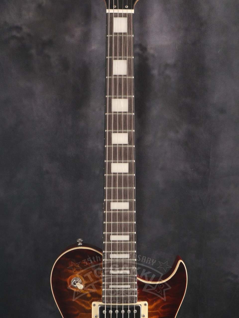 Aria ProII PE-480 SPK アウトレット展示品未使用 Aria Pro II PE-480(中古)【楽器検索デジマート】