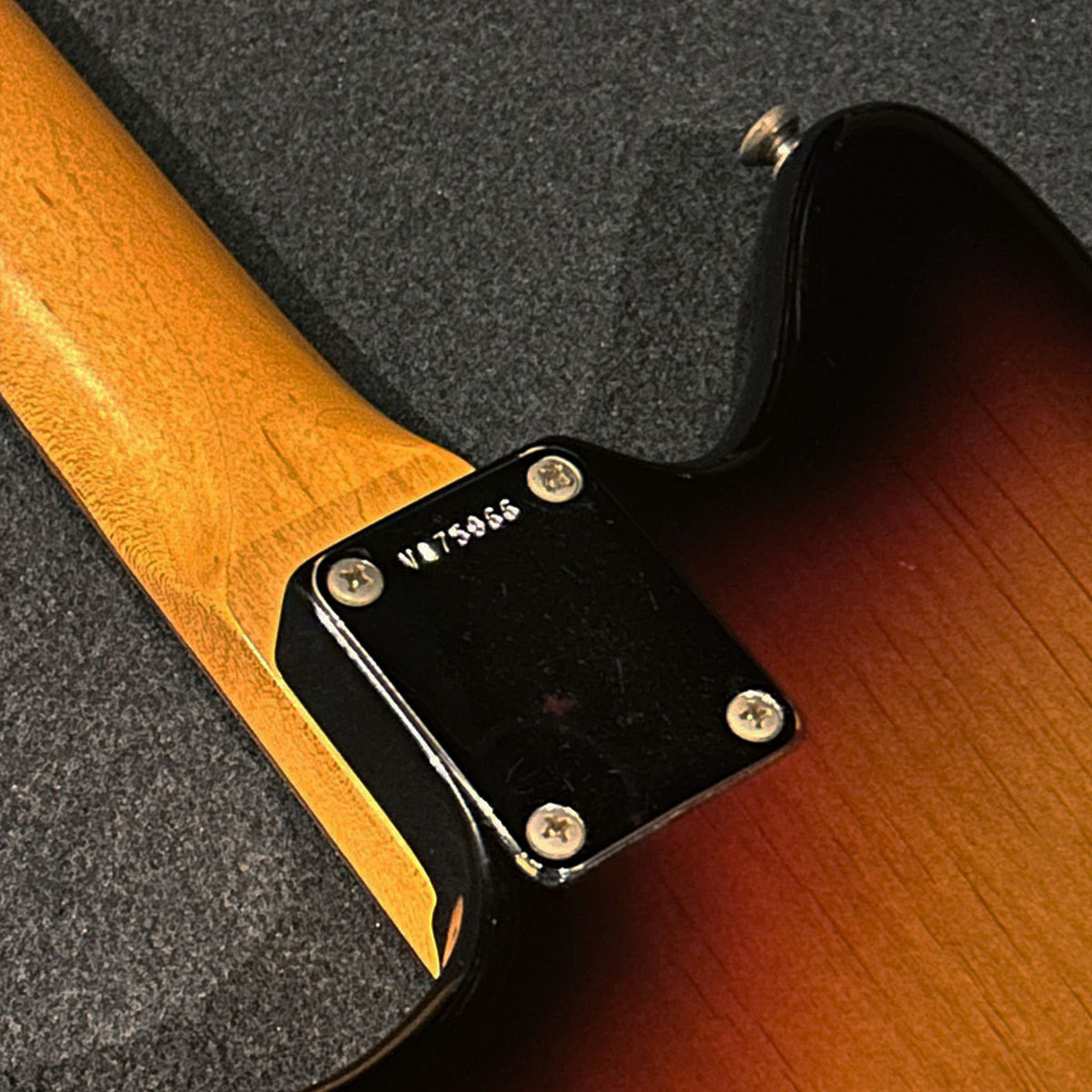 ギター Fender USA 62-Jazzmaster 3CS Fender American Vintage '62 Jazzmaster 3CS（中古）【楽器検索