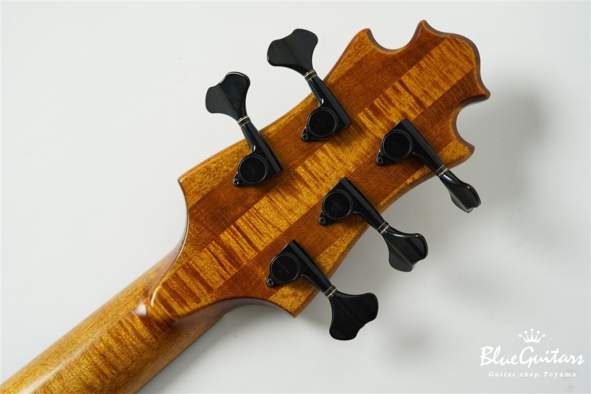 Nishgaki Guitars TEMPESTA 5st Fretless - Organic Texture（中古