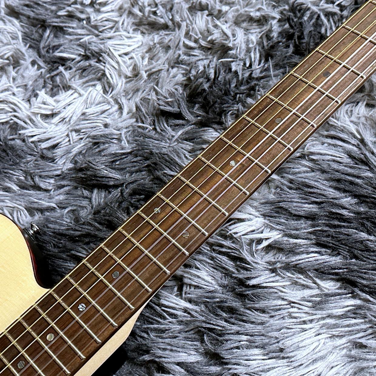 SCHECTER OL-FL-N-2 SNTL (Satin Natural)（新品/送料無料）【楽器検索
