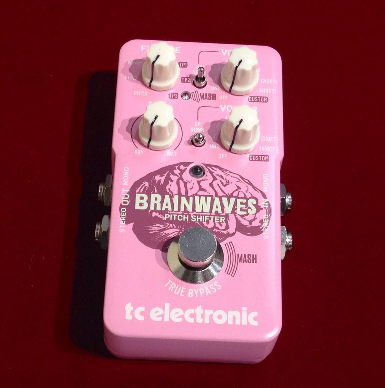 tc electronic BRAINWAVES(新品/送料無料)【楽器検索デジマート】