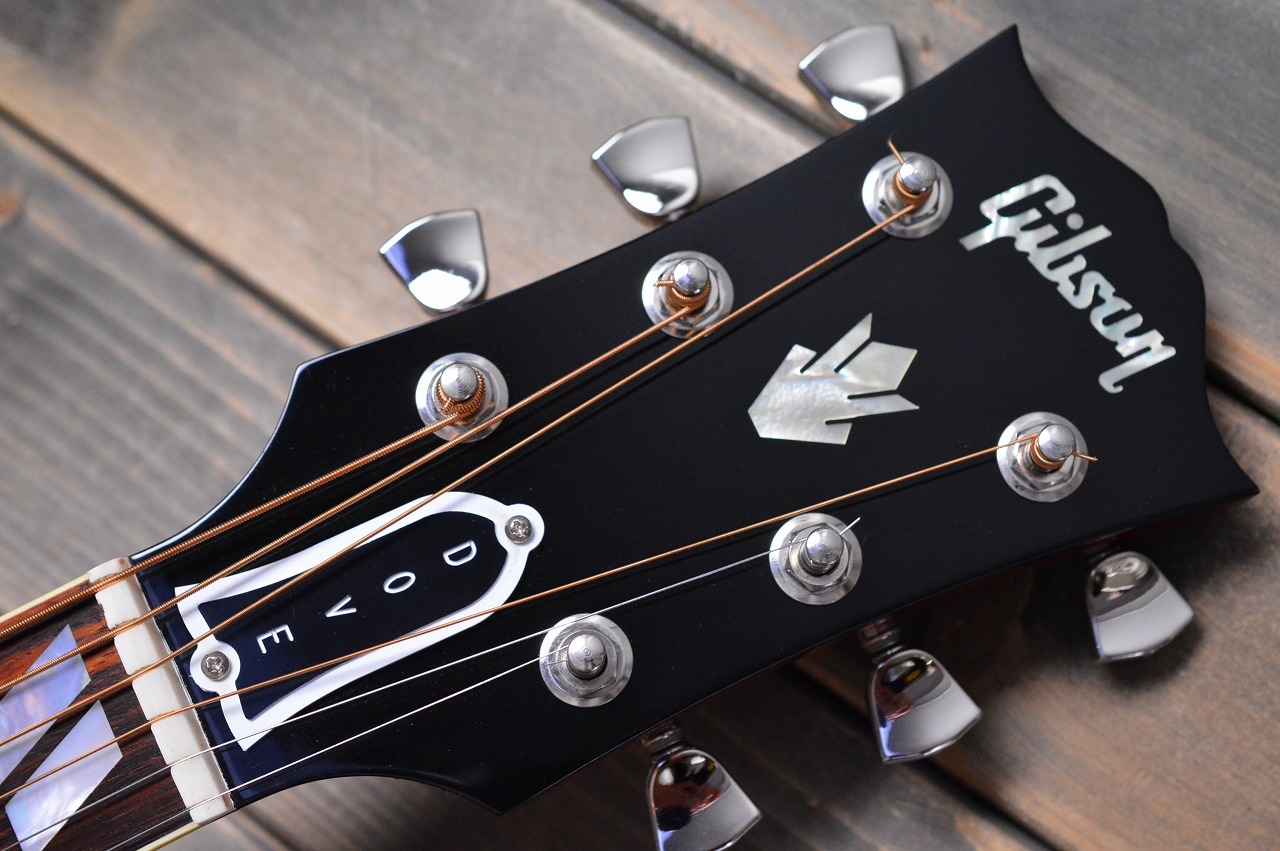 Gibson Dove Original（新品特価/送料無料）【楽器検索デジマート】